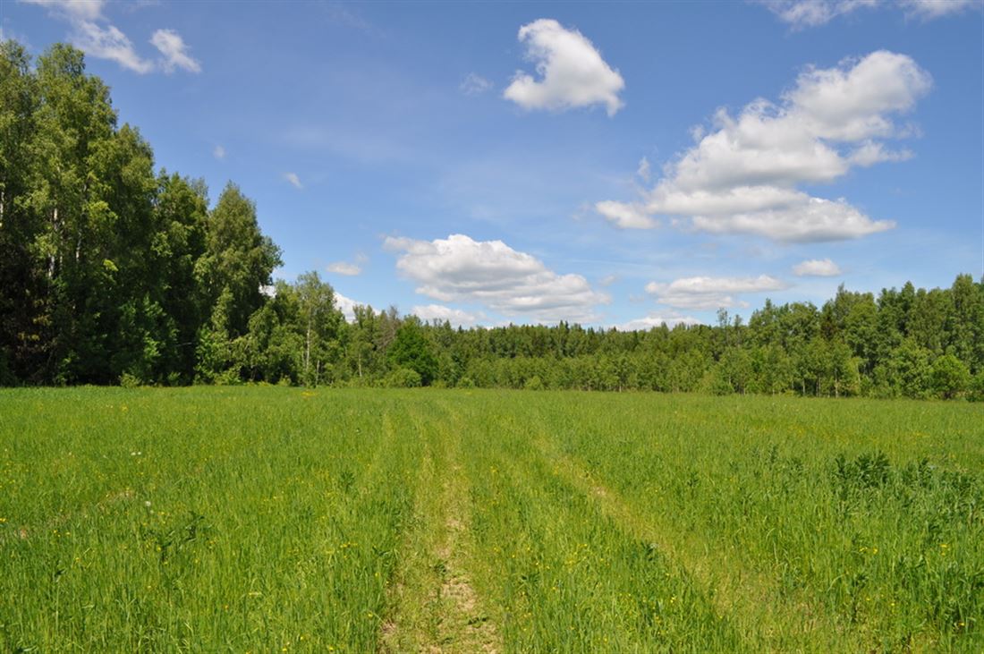 Цены на хорошую землю в Новосибирске растут