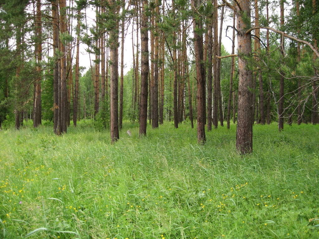 Цены на землю