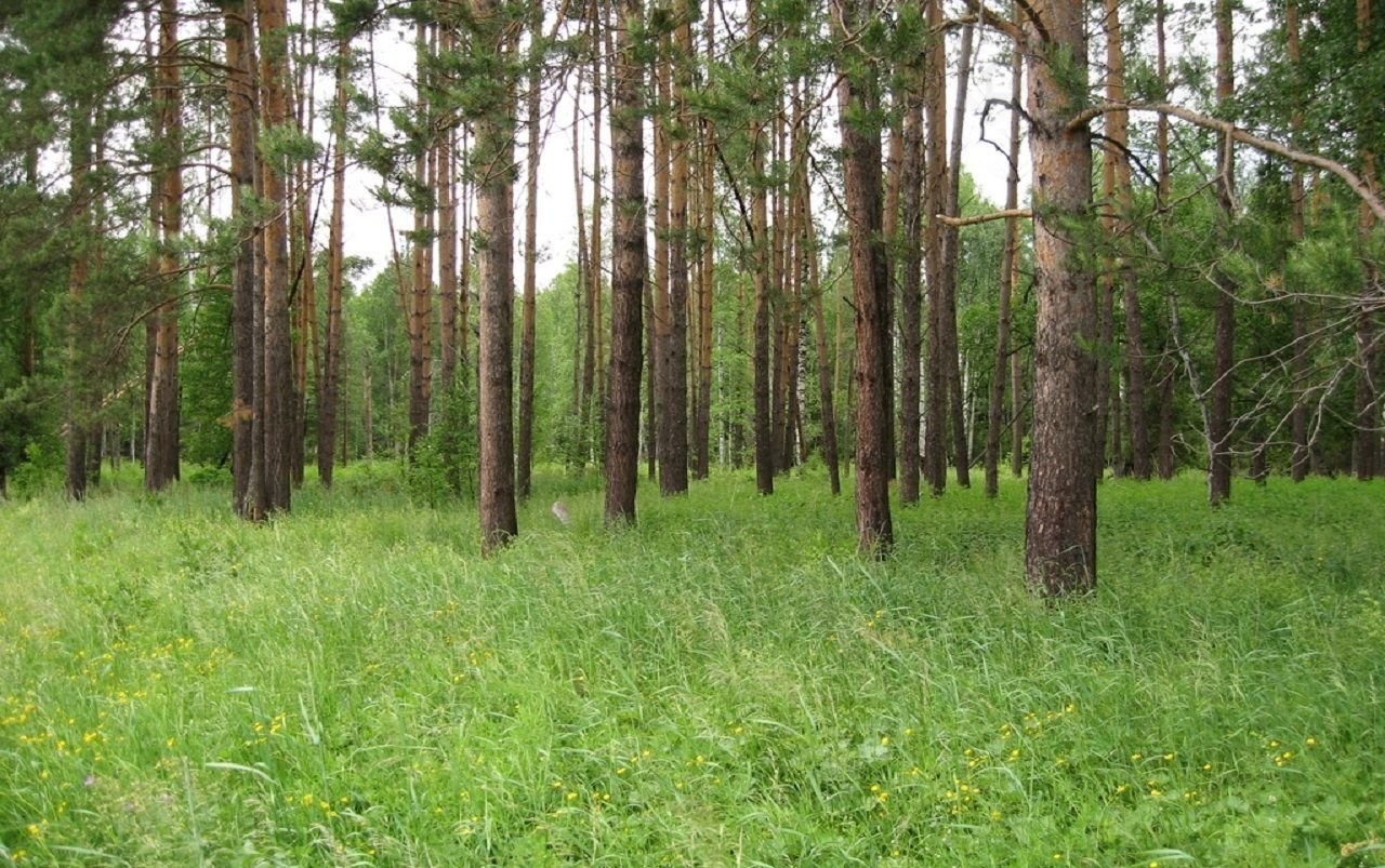 Земля у озера